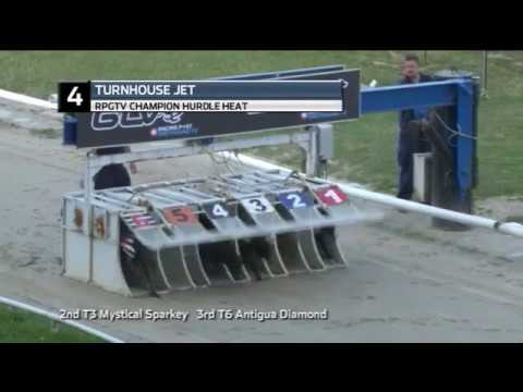 2019 RPGTV CHAMPION HURDLE - HEAT 1 - T4 TURNHOUSE JET