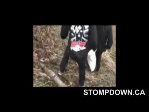 SDK #402 KEEP6 - song by Young Sin "Lost" free download below