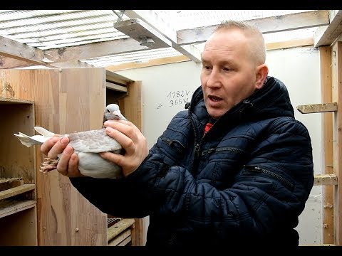 Adam Sehnke - Mistrzowska Hodowla Z Niemiec / Pomoc tkwi w szczegółach.