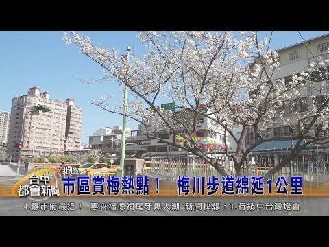 市區賞梅熱點！  梅川步道綿延1公里