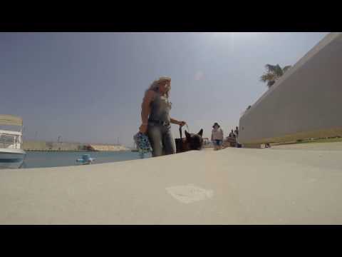 ‪#‎TammenAlbak‬ Shooting  Day 2 - Dog Scene