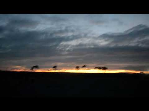 FUKANUMA BEACH PARK 2022/深沼ビーチパーク2022/深沼海滩公园2022