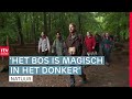 Wandelen in het donkere bos van Borger | ROEG! | RTV Drenthe