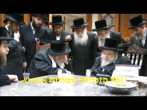 Kapishnitz Rebbe Visits Belzer Rebbe