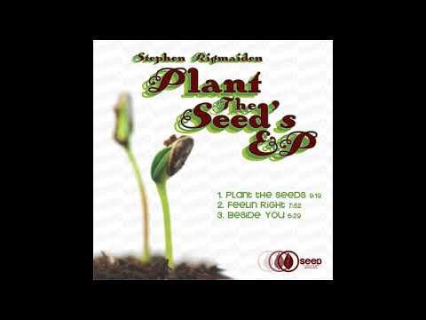 Stephen Rigmaiden - Beside You