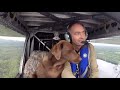 THE DOG STARS Movie Trailer