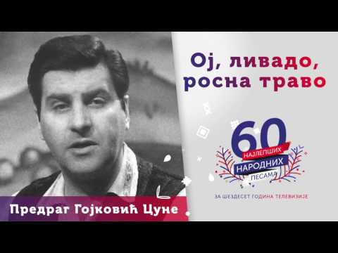 Oj, livado, rosna travo - Predrag Gojković Cune
