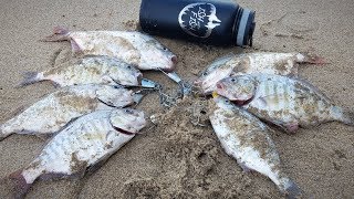 Fishing for surf perch in northern california