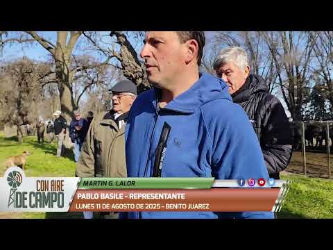 Pablo Basile - Remate de Martín G. Lalor - Lunes 11 de agosto de 2025 - Benito Juárez