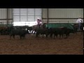 Hootchy Kootchy Man Katie Ennis Performance Horses