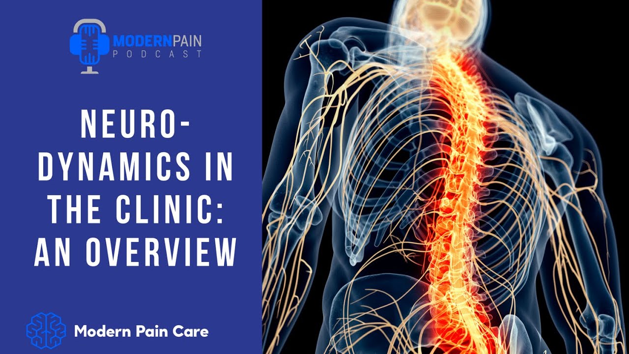 Neurodynamics in the Clinic: An Overview