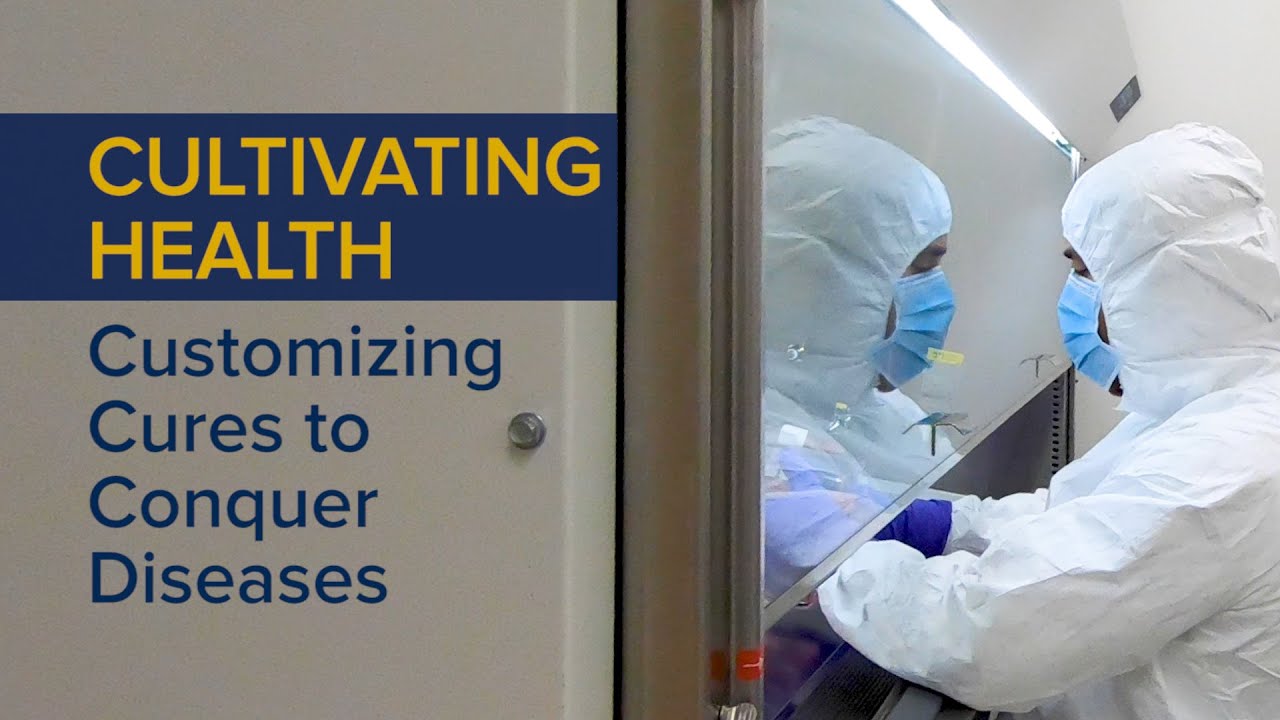 Thumbnail preview of Customizing Cures to Conquer Diseases - Cultivating Health