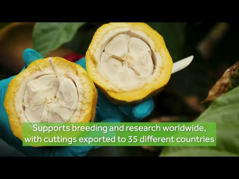 Our Facilities play video