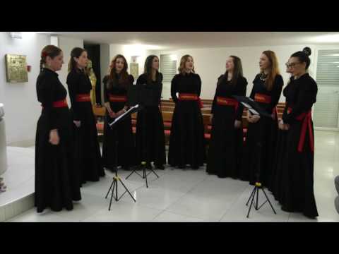 Koncert klape Neverin u crkvi Sv. Petra, Boninovo, 2016.