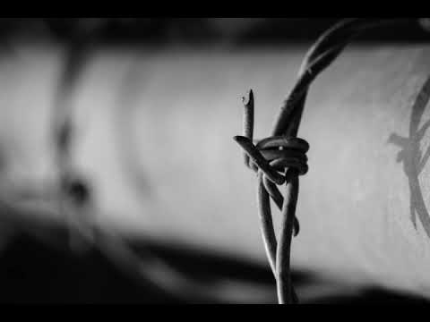 Thierry Machuel: "Paroles contre l'oubli", Mvt 1 (Nov 12, 2017) - Cantori New York