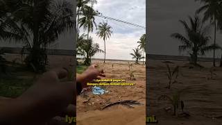 Download lagu Beginilah kondisi di Desa Temajuk. Desa wisata di Kabupaten Sambas. #temajuk #sambas mp3