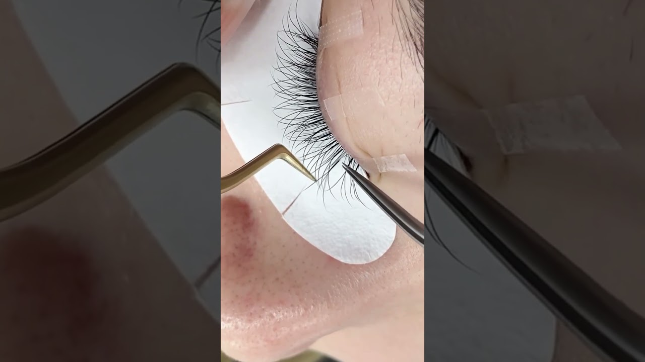 Beginner-Friendly W Volume Lashes: No Hassle! ✨ #lashextension