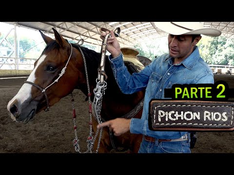 Mauricio Pichon Rios - Part 2 - Step by Step but done right - How long does he train horses?