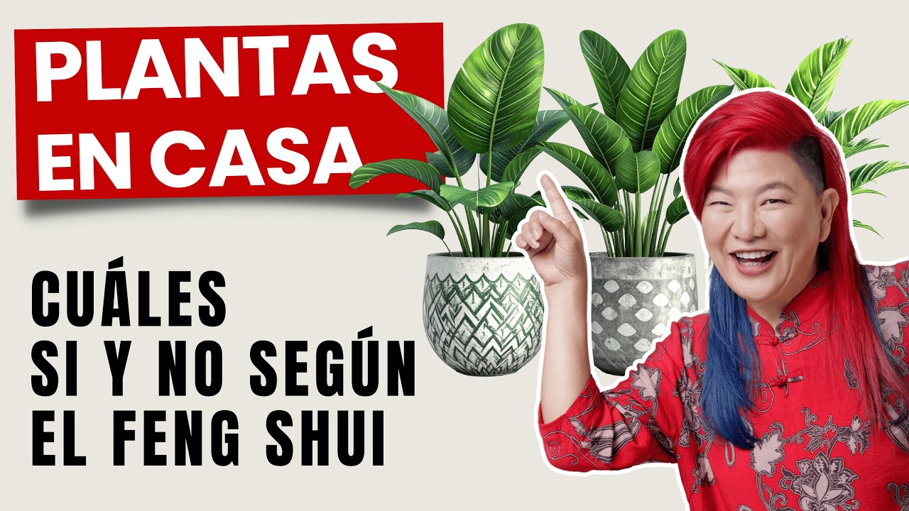 Plantas dentro de Casa, Cuáles si y no según el Feng Shui con Yuan Chen