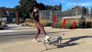 You Won’t Believe What She Did Next!