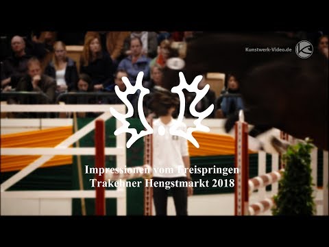 Impressionen vom Freispringen  - Trakehner Hengstmarkt 2018