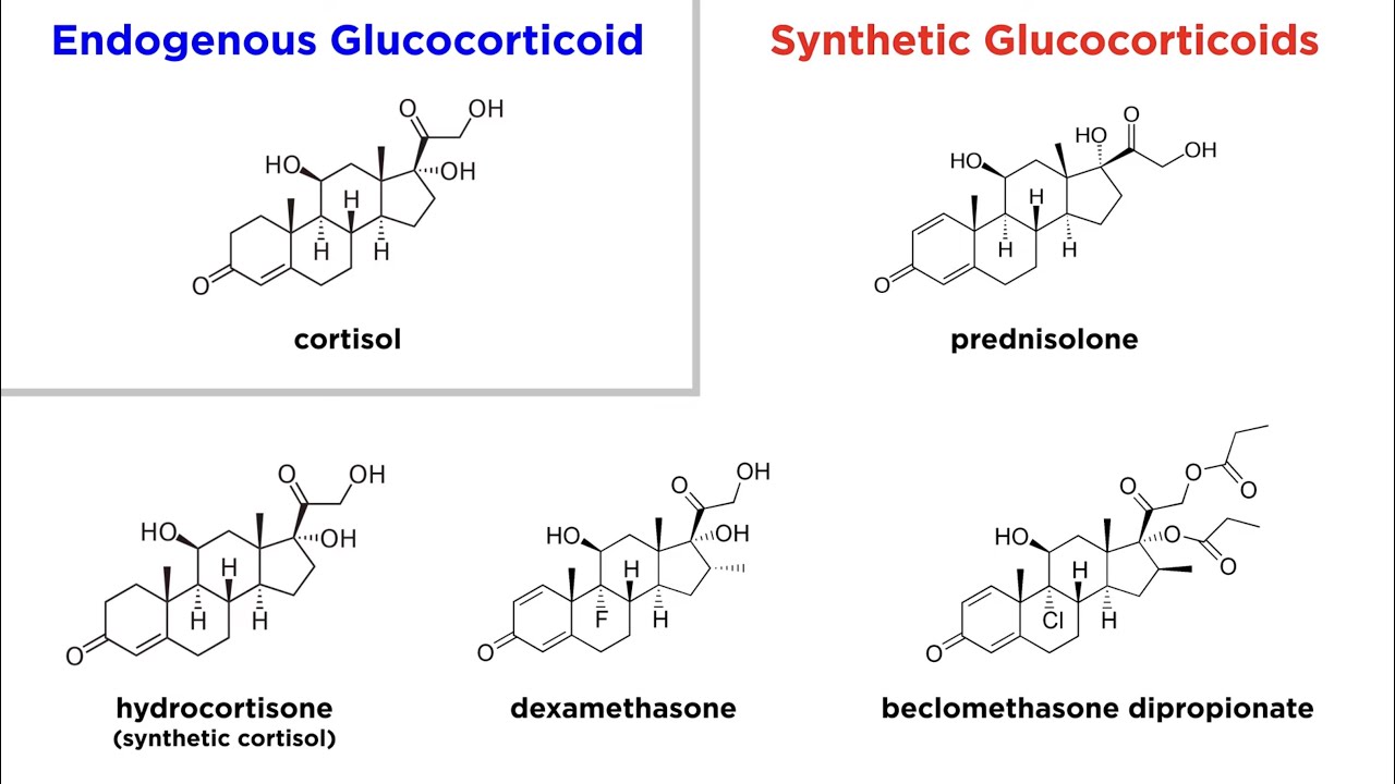Glucocorticoids: Mechanisms and Side Effects