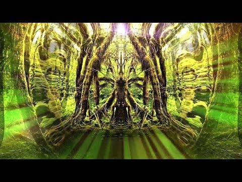 True Hallucinations – Terence McKenna
