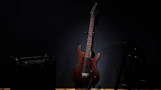Bishop Of Hexen - A Serpentine Crave (guitar solo)