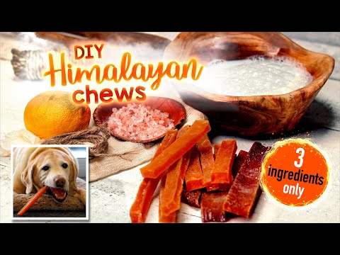 Himalayan Dog Chew Recipe