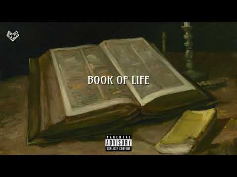 Youngs Teflon feat. Potter Payper & Tiny Boost - Book Of Life (Remix)