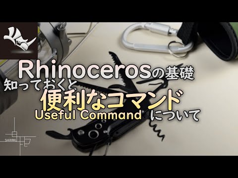 Rhinochelyについて詳しく解説