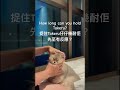 How Long Can You Hold Your Cat