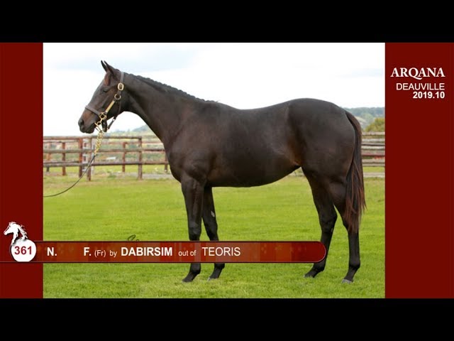 Poulini&egrave;re pur sang 8 ans par DABIRSIM