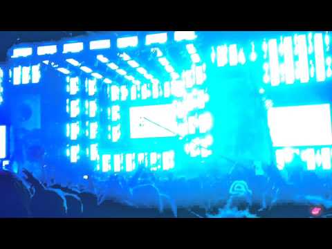 ZEDD - Bumblebee (feat. Botnek) Live @ Paradiso 2014