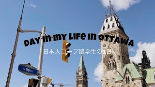 [Vlog] Day in the life | オタワに引っ越してきた留学生の1日 (ft. downtown ottawa, online class)
