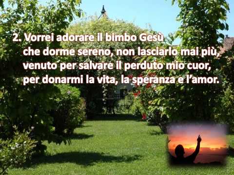 133  DI NOTTE IN UN STALLA