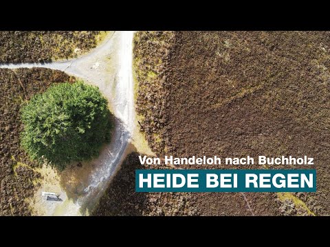 In der Heide bei Regen | Von Handeloh nach Buchholz auf den Heidschnuckenweg