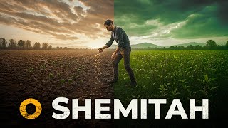 ENTENDA O SHEMITAH - Nayra Pedrini