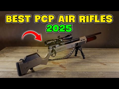 Best PCP Air Rifles of 2025 Honest Reviews from Beginner to Pro