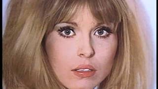 The Shadows - "Midnight" - in STEREO