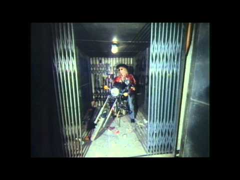 КАМЕЛИЯ ТОДОРОВА (CAMY TODOROW) - Fast Lane