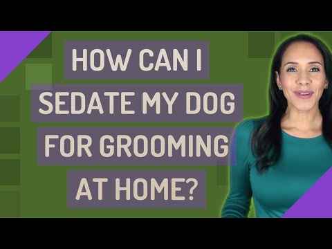 How can I sedate my dog for grooming at home?