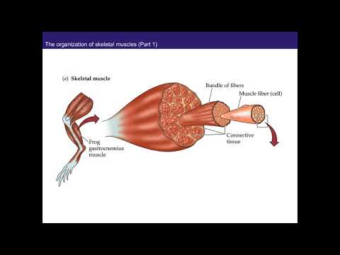 Review Session for Exam II, March 20, 2018 in B45 Ruttan Hall