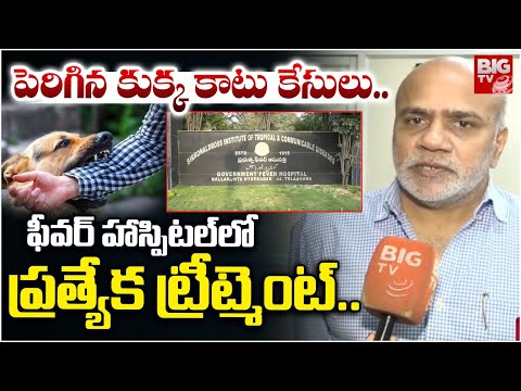 Fever Hospital Superintendent Dr.Rajendra Prasad Cautions Dog Bites | పెరిగిన కుక్క కాటు కేసులు..