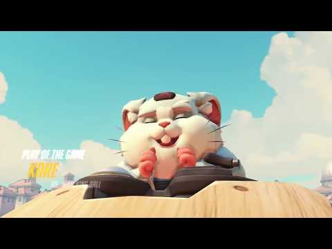 Pure hamster (Hammond, Overwatch)