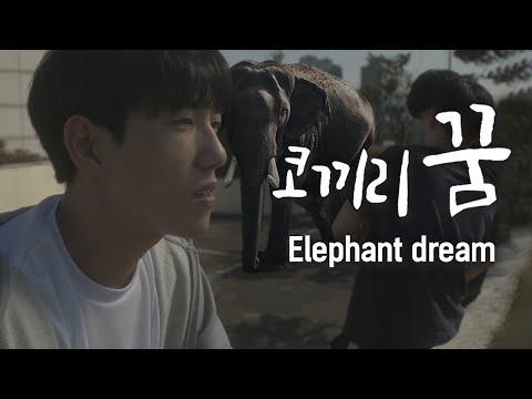 [단편영화] 코끼리 꿈 (한글자막, ENG SUB)