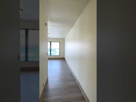 N the Ville - Video 2 of 2