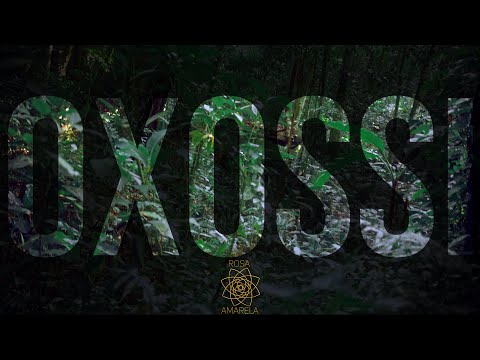 OXOSSI - Rosa Amarela