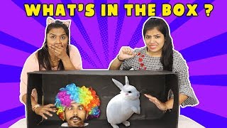 WHAT'S IN THE BOX 2 COMPETITION !!!! OMG REAL ANIMALS