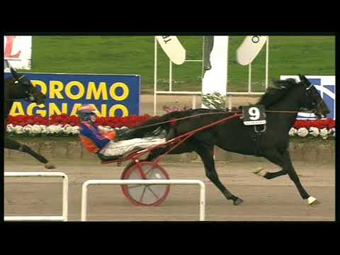 Trotto 24/10/2020 - 5ª corsa - speed race batt. C